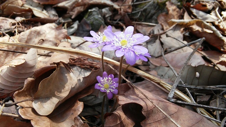 23517346550D05F10474BB