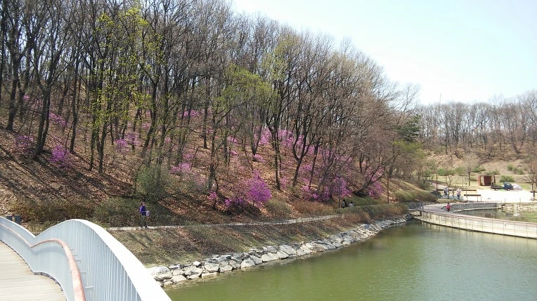 25686E4B570366AA1E39DB