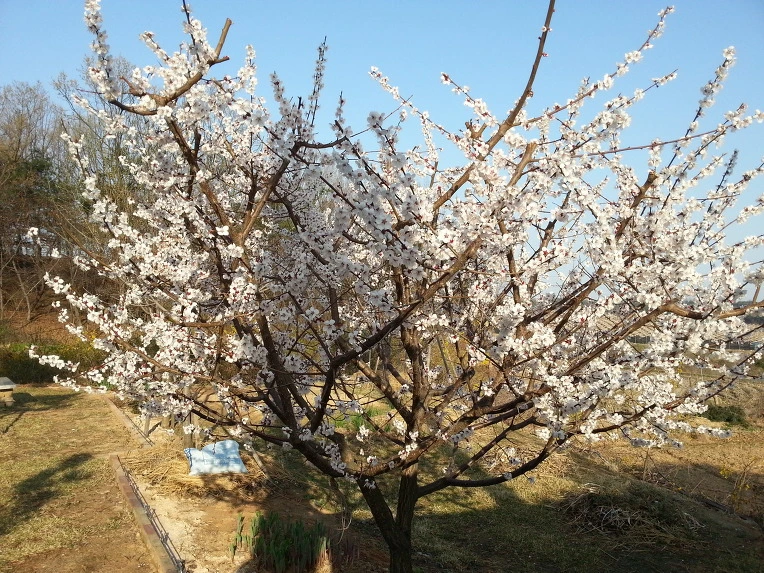 22779D37534628F40F3A51