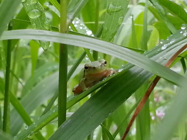 2259E74856B024CB303309