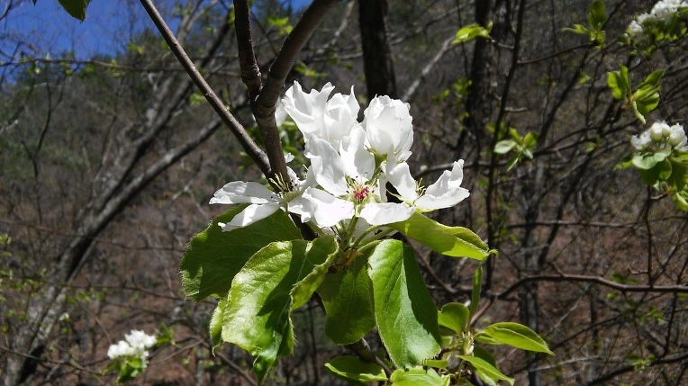 2660D24458F7E00E0DFD1B