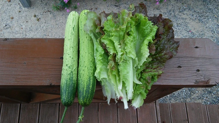 2776364859713706065C4A