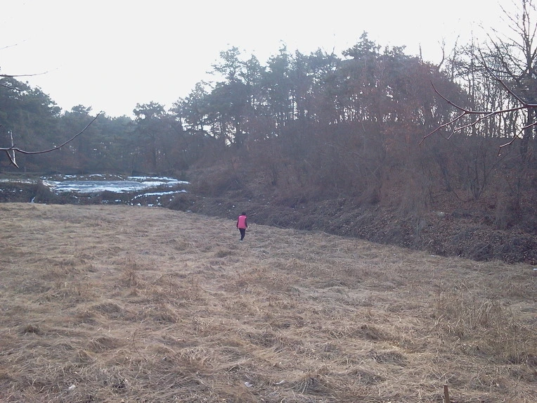 181DD037510A3B150EFBCA