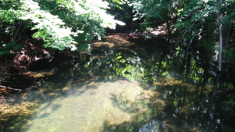 263ABB3B5931DE8012BF79