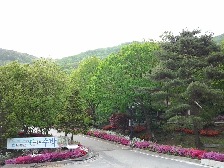 2745D2455191DBE52C051D