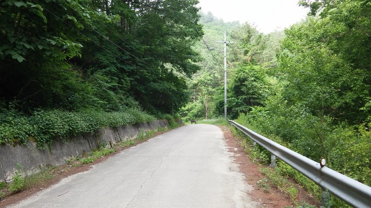 2171F84D59596BEF151B09