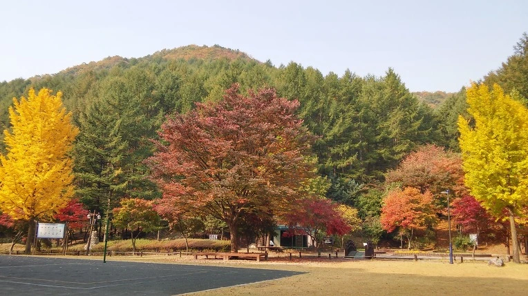 254EF14D5628802D2EDE99