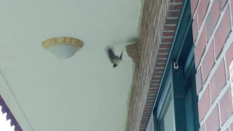 99EBB6465D467B2F30279E