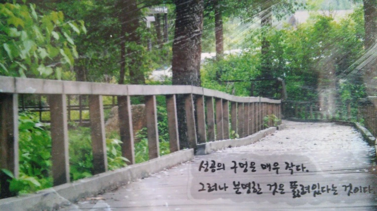 21406D3B56E0B42527A178