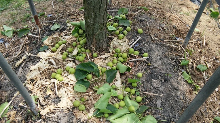 252EFD3F5757B51C0A069B