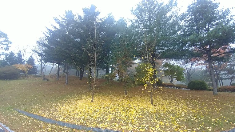 999DF8495BD65E2C3847A6