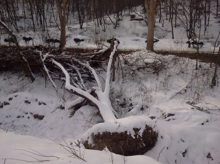 243BE73E541BBFC20BCFE1