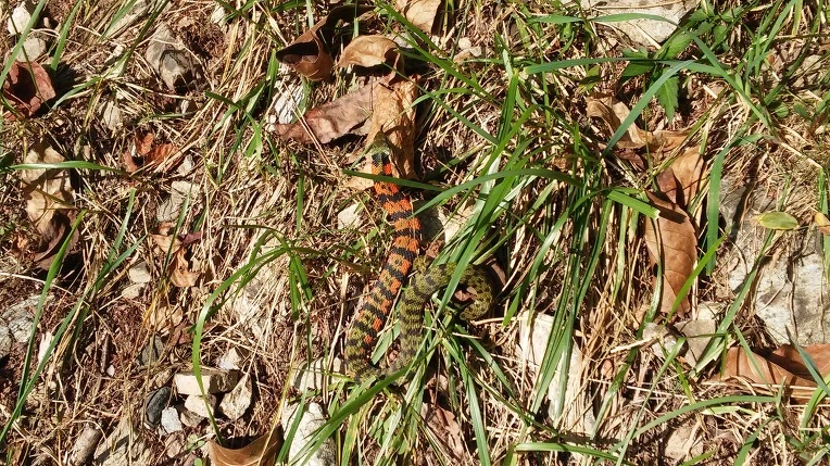 22038050562051850B1CE3