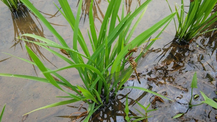 22253647575E537D266E04