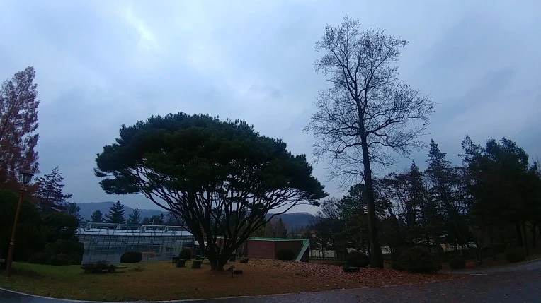 99726B365C275B082BE6D5