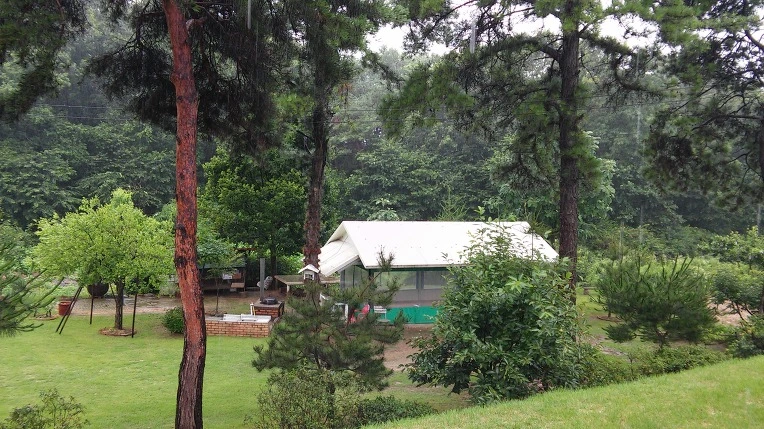 225BFB395789B5372BB70A