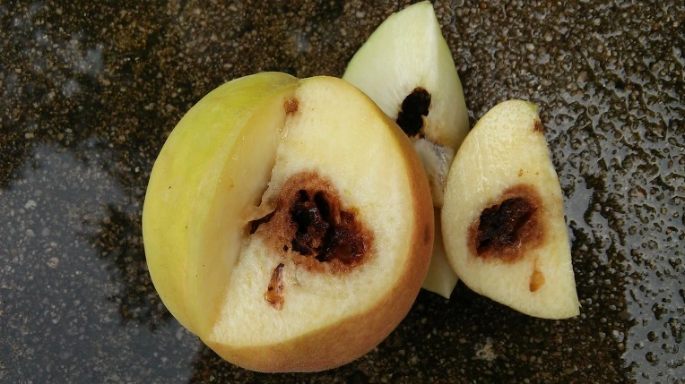 23104D3A5796DC882FC871