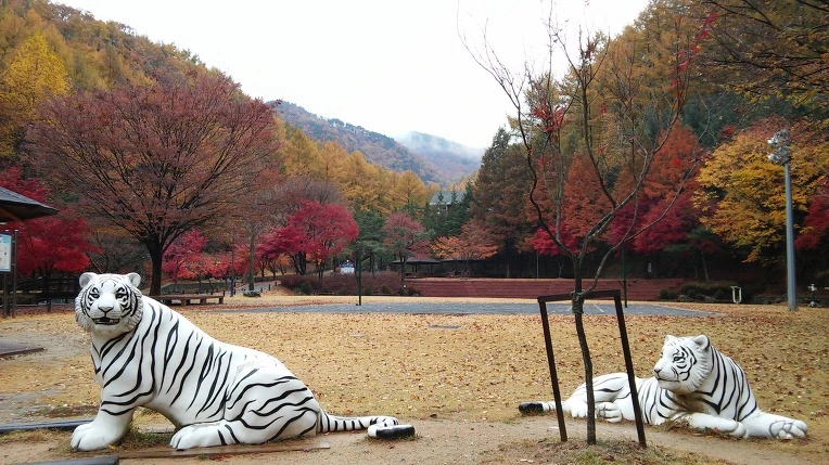 231B3A3A563D845B1F22FA