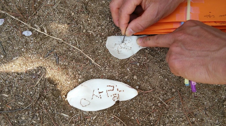 222DCB4C570969E4252B38