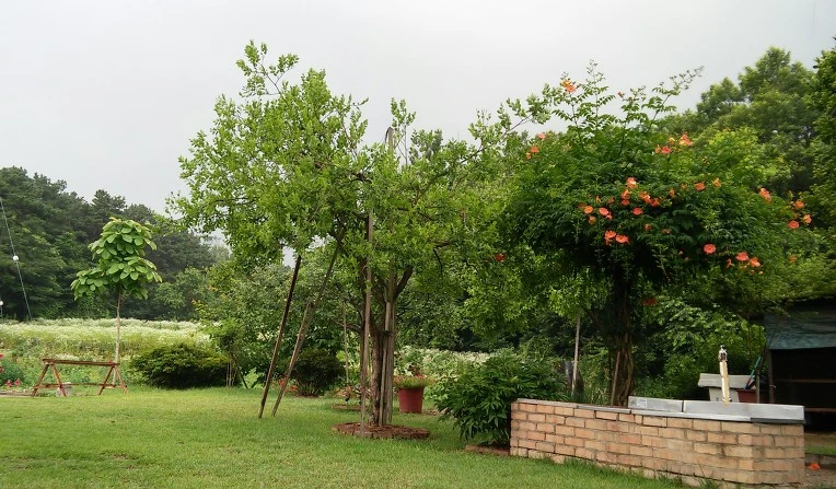 224CC038576CFC462EF280