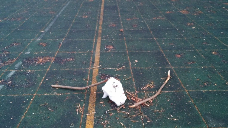 27084D3A56720FB413D9A2