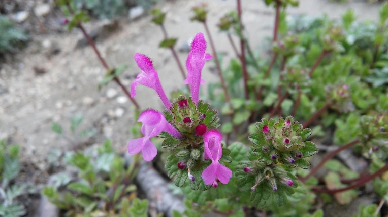 235249485702314E334670