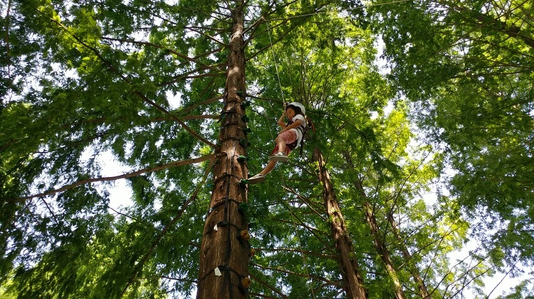 99DA85375B57BF8B1994E9