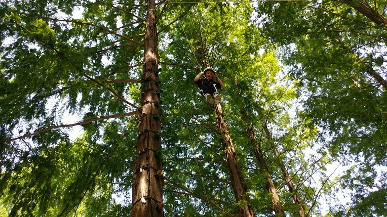 9929BB415B57BFA1198F34