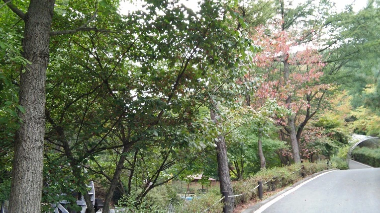 27413A3B561979820644F6