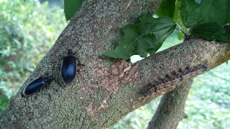 235F3D445745885F08FEEB