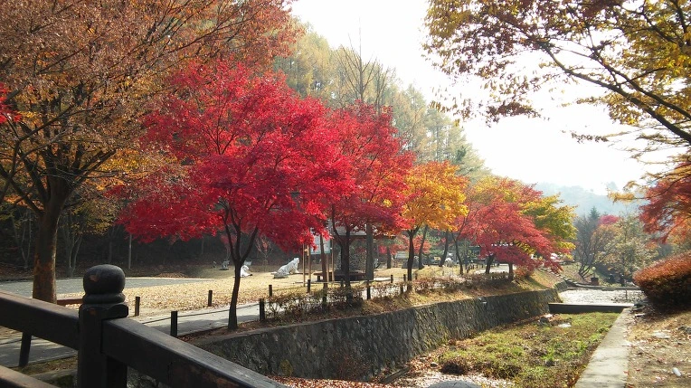 232C294F563C4671075C2A