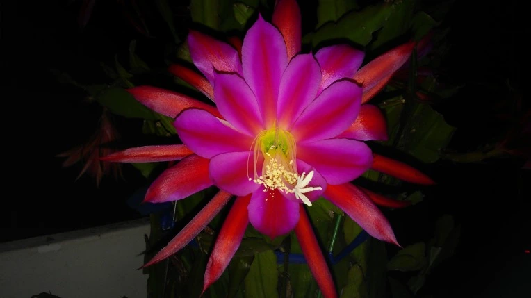 25603040574590B43878E6