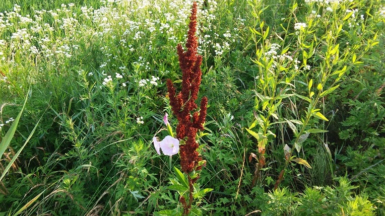 265BAC4A576F7D511727B1