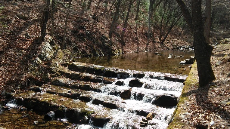 220D8D3558EC12FC38A6B6