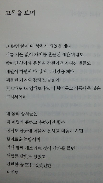 2420DC4E577DE46135E384