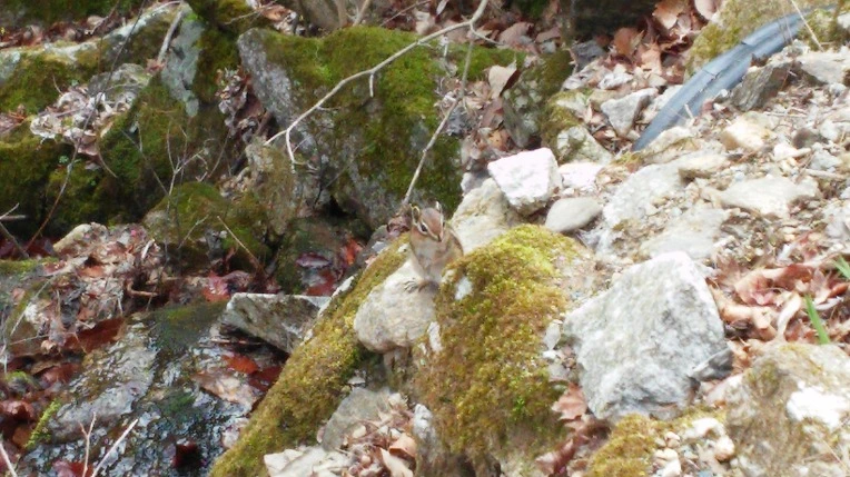 2203F23558F1759E20882B