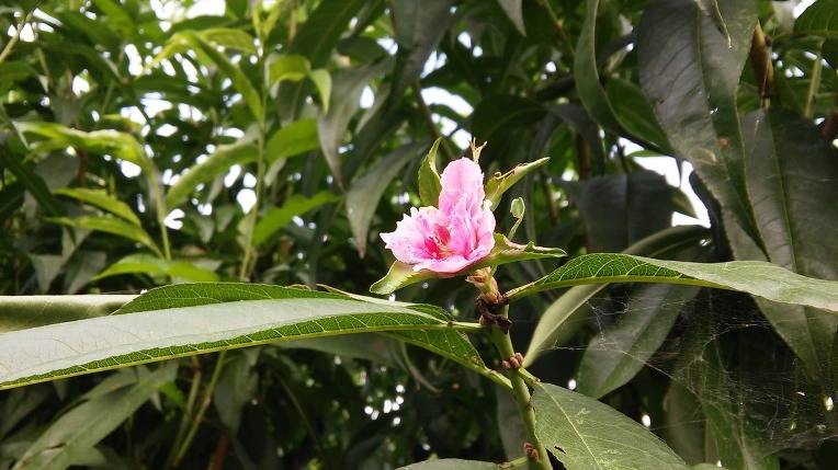 2261E74D57BCEC8609B6C3