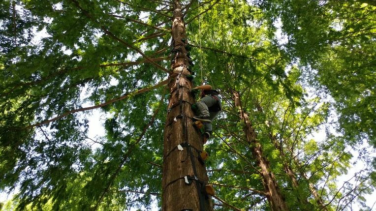 990F2E3C5B57BEBE165216