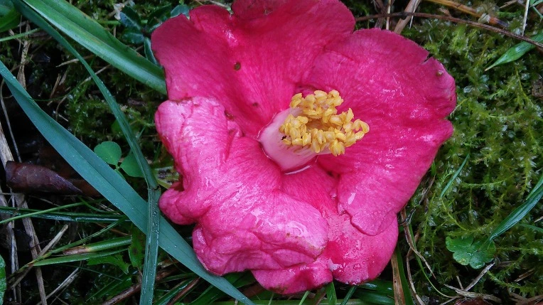 236A3039564008ED34BE39