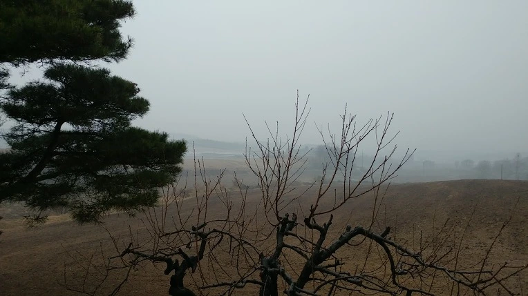 9982193F5C9207FD16E742