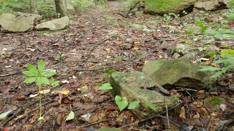 99BDC73D5DBE6AD1311F0B