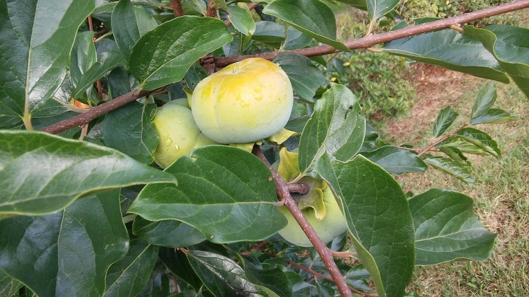 250C9D3357D0BA212689B3