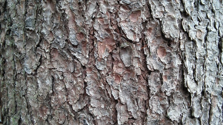 235CEB3356EB9BBF0E4BC0