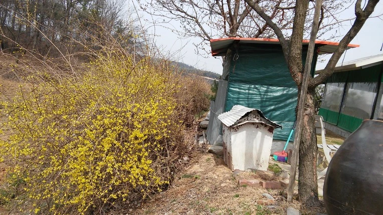 2209673E56FC8D7406836A