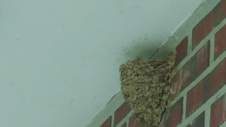 99656C465D467B2B156019