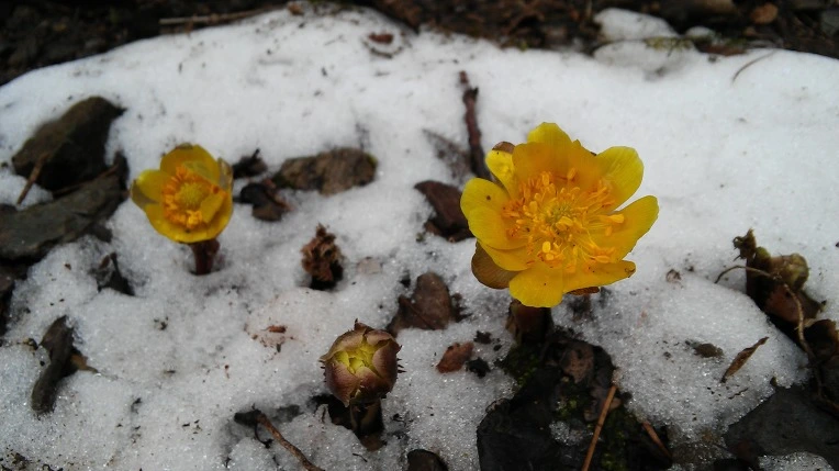 23221C4056D1085F2C0609