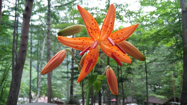 27E4CD3359791E09197E8F