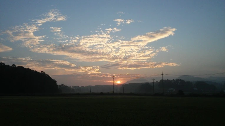 2227BB4457C4C0F9146949