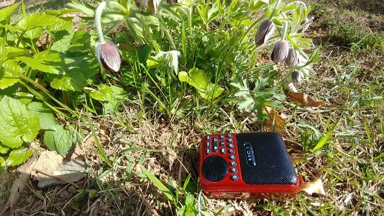 99A2F7425AD123B5120E32