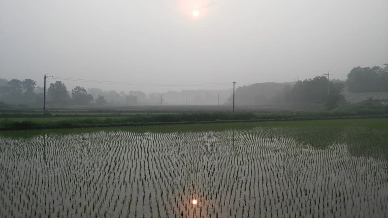 2331B241574634142917E7